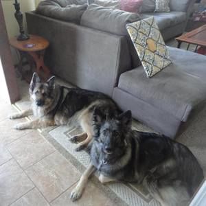 Meet your Posher, Mary